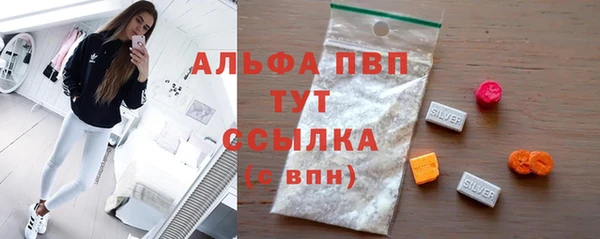 трава Няндома