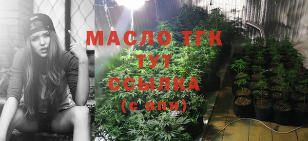 трава Няндома