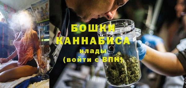 трава Няндома