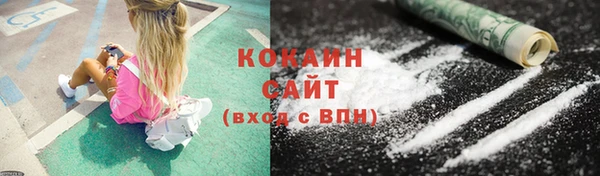 трава Няндома