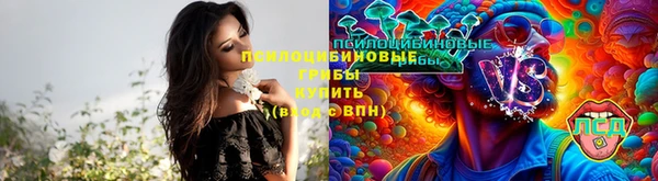 трава Няндома