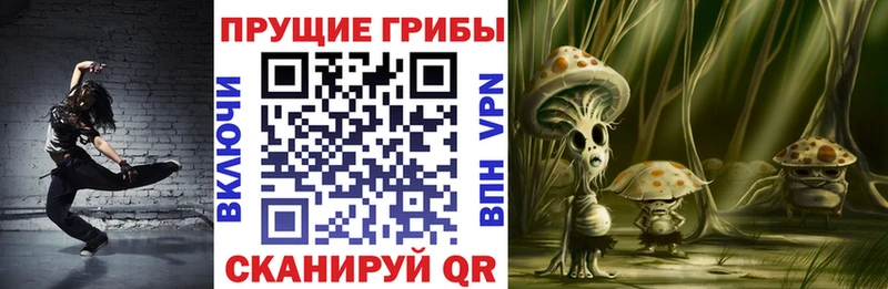 Псилоцибиновые грибы Psilocybine cubensis  купить   МЕГА рабочий сайт  дарк нет официальный сайт  Псков 