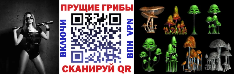 Галлюциногенные грибы Psilocybine cubensis Псков