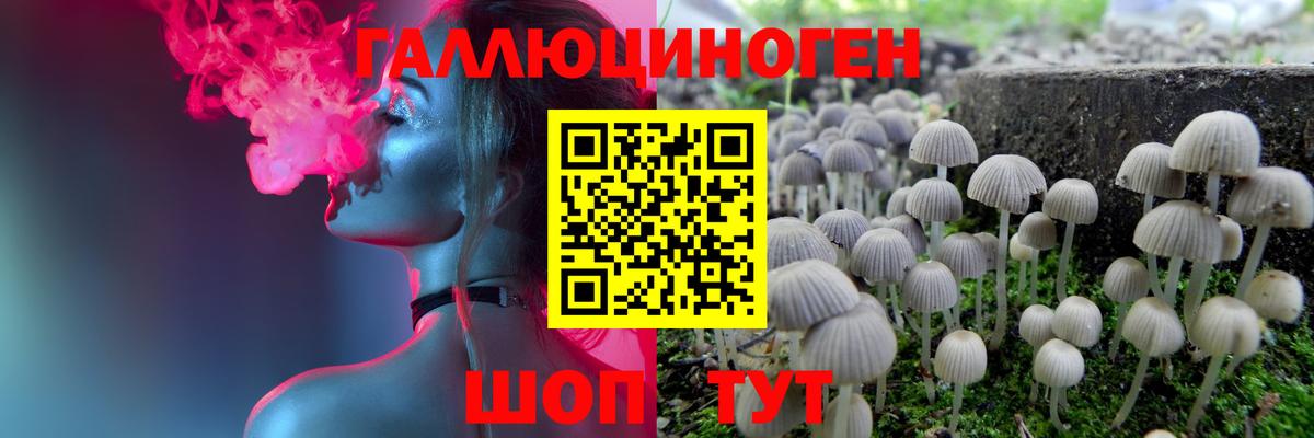 Галлюциногенные грибы мухоморы  Вход с VPN  Псков  Галлюциногенные грибы ЛСД 